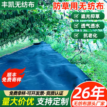 厂家黑色防草无纺布透水透气抗老化大棚花卉农用抑草布地布跨境