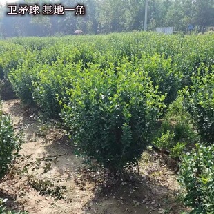 �lì���繤�̈@�־G��С���z�|�lì��ͥԺ�e�������G�h�ͺ����~��