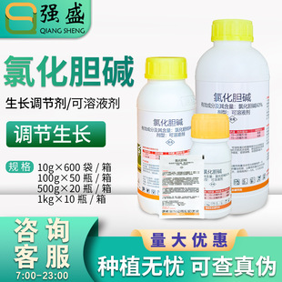 �R�ƴT�� 60%�Ȼ�đ�|�������������{�����G���Ȼ�đ���|����،�