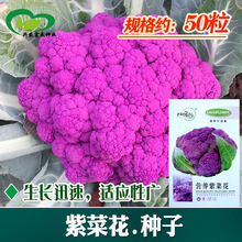 �ϲ˻��N�� �r��ˈ@�����߲˶�N��Ҭ���ϲ˻���