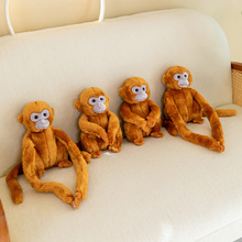 创意新款金丝猴公仔家居摆件儿童生日玩偶动物园纪念物车载挂件