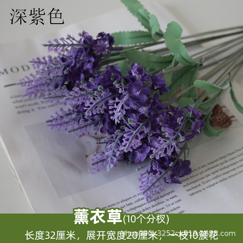 Lavanda púrpura oscuro