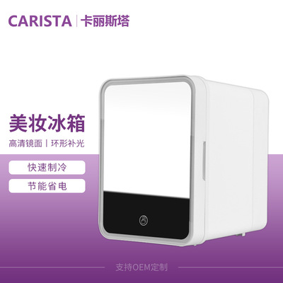 源头厂家镜面美妆冰箱 家用宿舍冷热两用小型冰箱 批发定制小冰箱