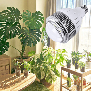 100W ȫ���V С̫� UVAֲ�����L�� ����LM301H+LG UV�M�ڹ�Դ