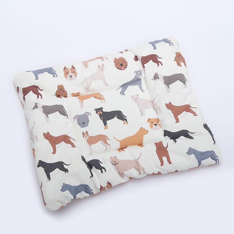 쌀 개 + 노란 발 스타일