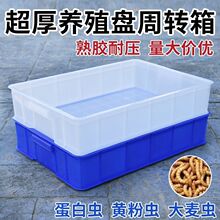 ���D�����l�Bֳ�д����x�S���x�N�x�Bֳ���L�������Ϻ��ռ{������