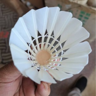 �o����ë��ֻ�b�\�����Zë��߅���ʹ����w�з���Ӗ����һ������