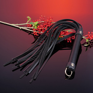 sm��Ȥ�����{���ƨƨСƤ����H��ū�Α��{��sp���߱���Ů��ɢ��