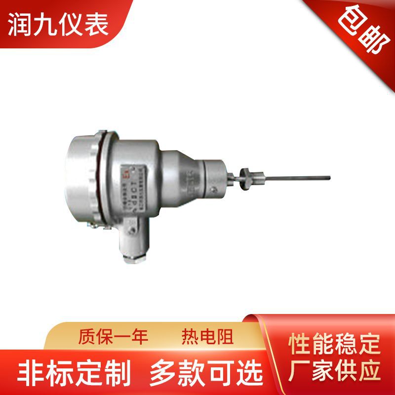 厂家供应镇江热电偶PT100温度传感器热电阻变速测温仪器耐高温