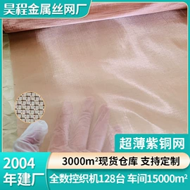 其他金属网;滤网;滤片