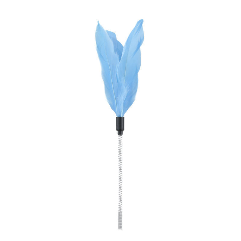Pluma de Primavera Azul