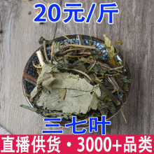 三七叶子云南文山三七干叶子三七叶田七叶子批发代发