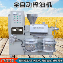 榨油机全自动商用大型液压榨油机设备生产不锈钢小型家用榨油机