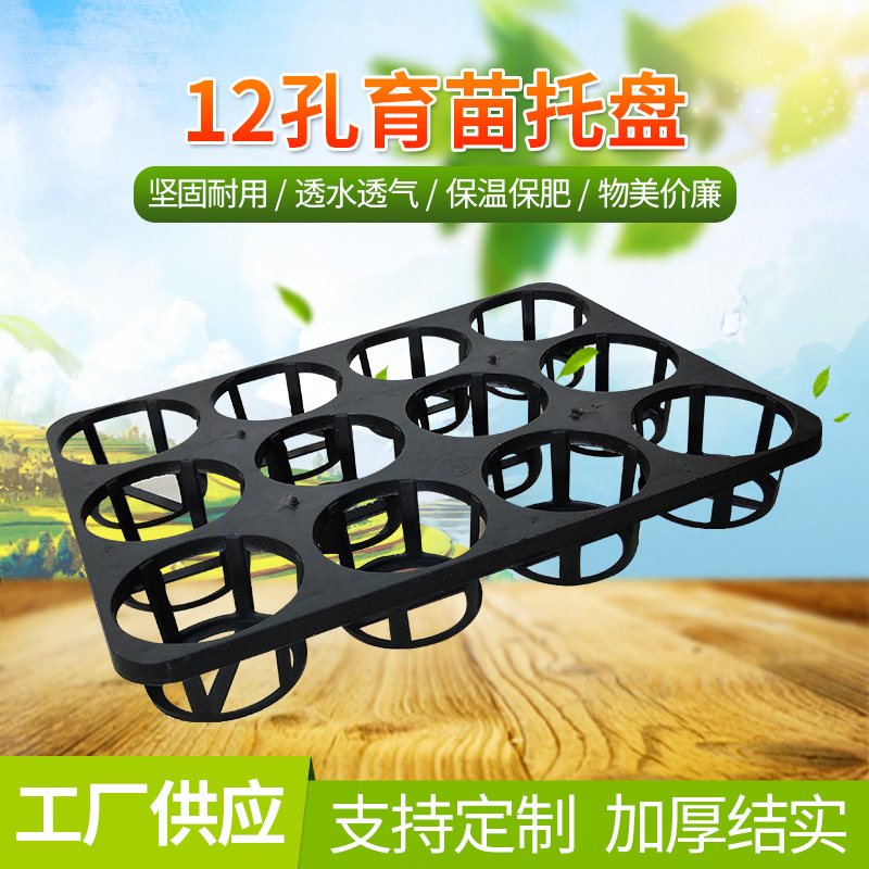 供应十二孔多肉植物塑料育苗托盘 批发塑料周转盘花艺花盆托盘