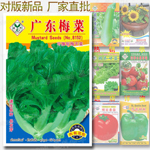 广东梅菜种子 约4000粒 梅菜扣肉干冬菜梅干霉咸干菜惠州贡菜种籽