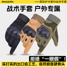 �羳���g����ȫָ�з�����������\�Ӹ�Ӗ��͸���طN�������T��