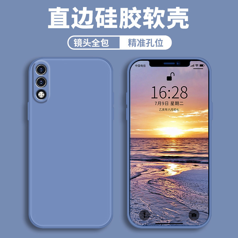 Lavender gray-bare shell