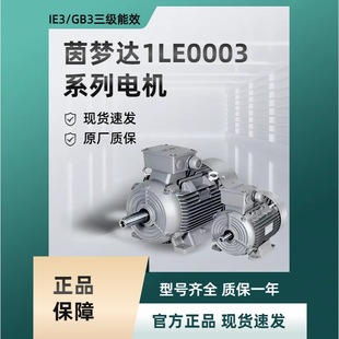 �����_���T��IE3늙C1LE0003-0DB32-0.75KW��ʽ����늙CIP55 F��