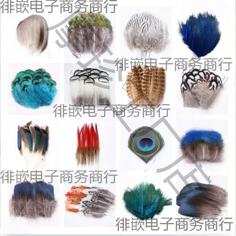 小羽毛支手工饰品配件野鸡毛鸭毛逗猫材料铺梦网孔雀蓝片
