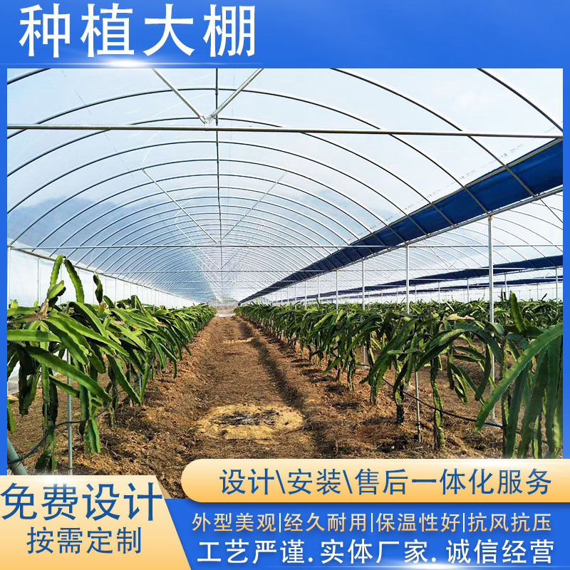 遮风挡雨火龙果大棚 河源大棚建设每平方造价 厂家供应