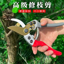 �@ˇ�������l������֦��@�ִ�֦���߿���֦����ˇ��֦����ժ����