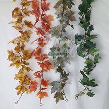 1.7��36Ŀ���~�ٗl�ڒ� ��ɫ�Ř��~���m ����G�}�����bG�~��