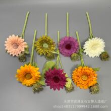 ̩�����տ� ���滨ǧ��̫ꖻ������ٻ��ҾӔ[�ŔzӰ�b����l