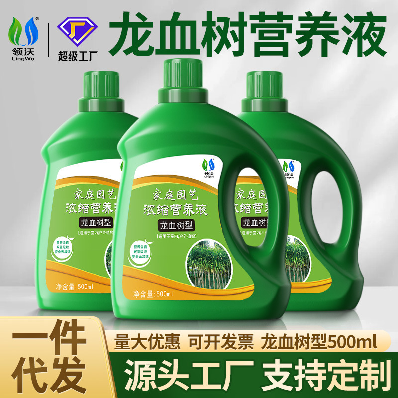 Lingwo Nutrient Solution, Special Fertilizer for Dracaena, Indoor Flower and Green Plant Care and Nourishment Lingwo Nutrient Solution, Special Fertilizer for Dracaena, Indoor Flower and Green Plant Care and Nourishment