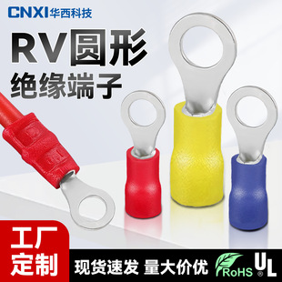 Cnxi Huaxi Technology Rv1.25 Round Insulated Terminal Cold-Pressed Terminal O-Shaped National Standard Copper Wire Lug Copper Nose Factory