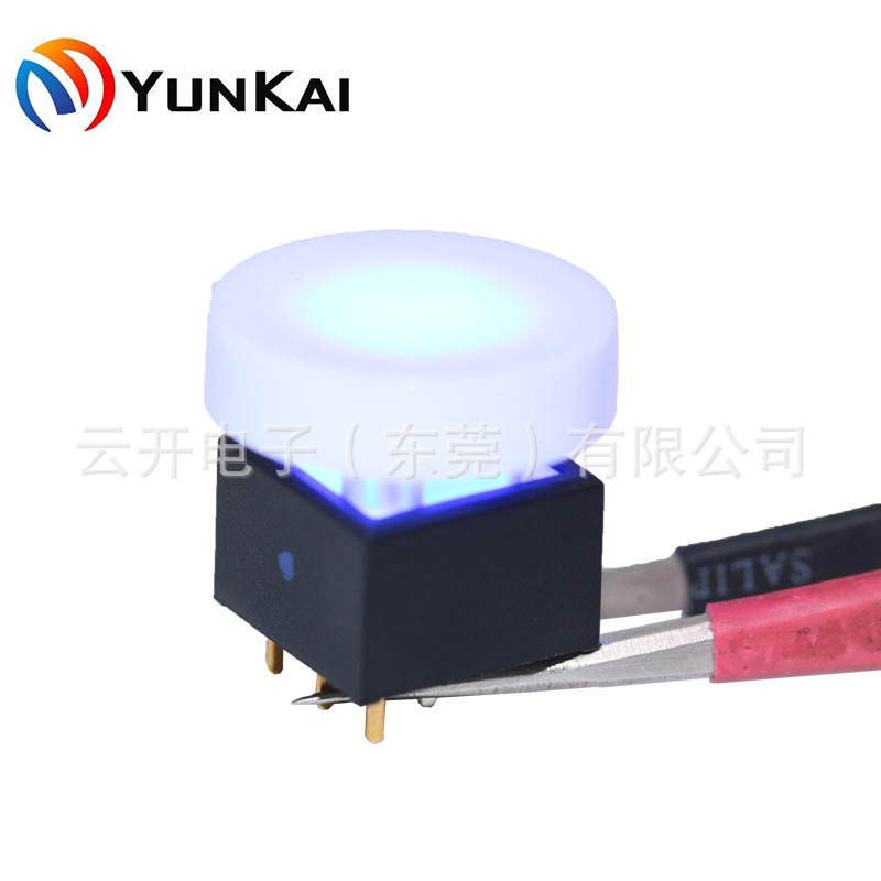 19mm圆形发光按钮 可印字符 矩阵音视频按钮 带灯按键开关