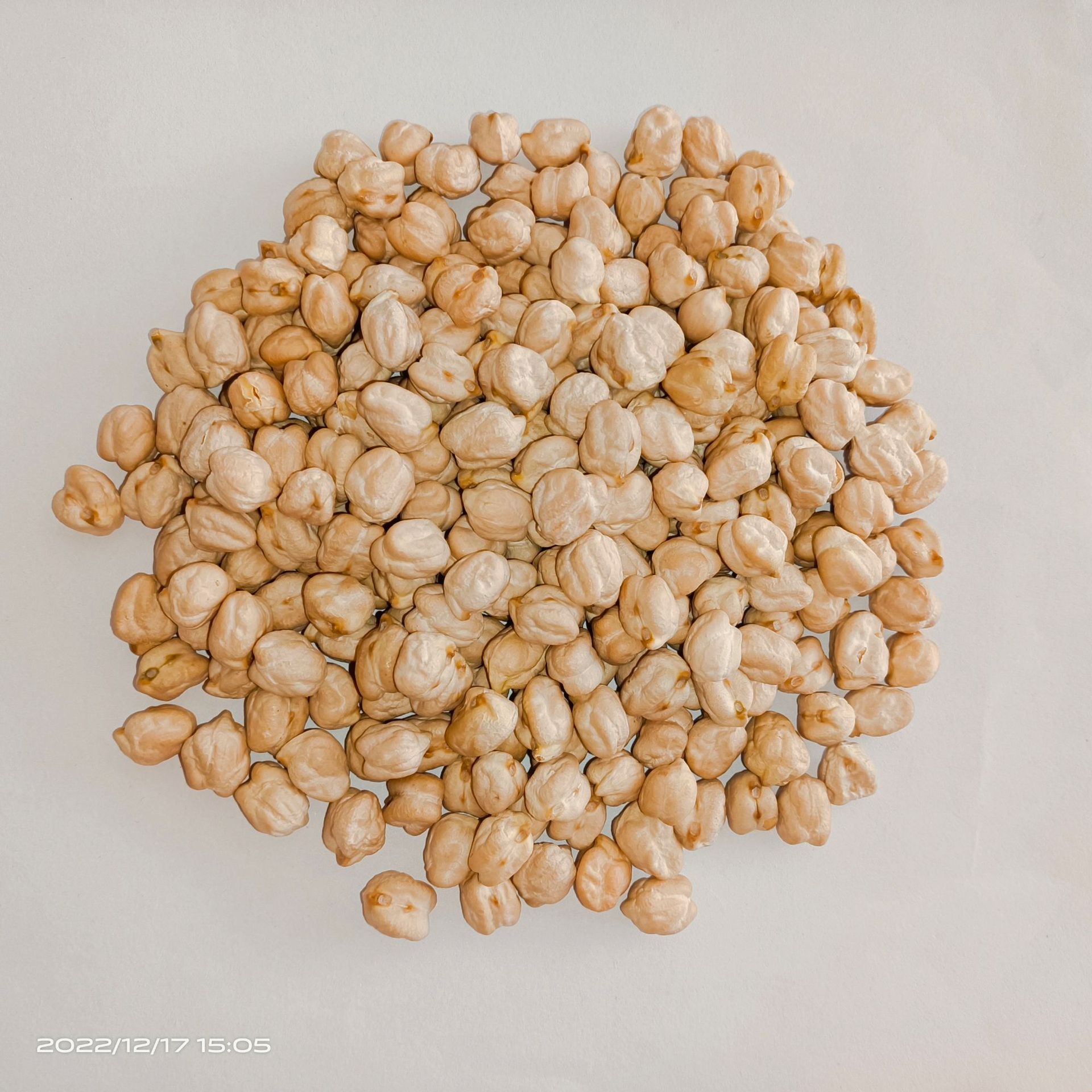 微信图片_20221217154155