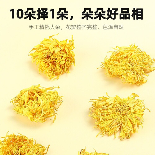 【Qi Li Xiang】Golden Silk Chrysanthemum Large Chrysanthemum Tea 20g one piece a cup of flower tea leaves yellow chrysanthemum can be paired with honeysuckle