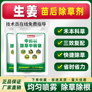 生姜地除草剂大姜田苗后除草烂根剂蔬菜大葱生姜大蒜除草剂农药