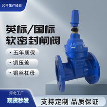 lyīTFlyDN100Z45XܛܷUUlyĥ͸g