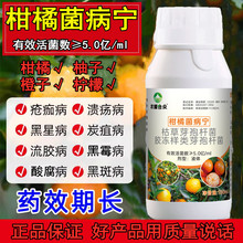 ���ٌ���ș���٘���Ͻ��Ә��S�����財̿�Ҳ����Ә䚢����