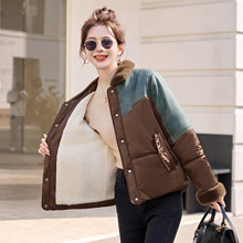 女式棉衣2025秋冬新款设计感牛仔刺绣拼接气质显瘦保暖外套LX2669