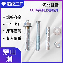 穿山刺膨胀螺栓厂家直供型号齐全空心气泡轻体砖用穿山刺膨胀螺栓