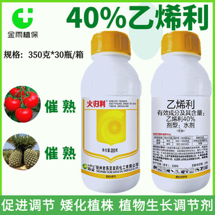 �K�`��w��40%��ϩ�����Ѳ��}���찫��ֲ���rșֲ�����L�{�����]