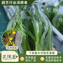 �л������m 0808 ����ƿ��M�����״���҃������Ի�������r��