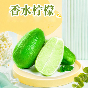 �����ˮ���� ���l1/2/3/4.8-5/8.5-9���ӏ��^������Ʒ�����rˮ��
