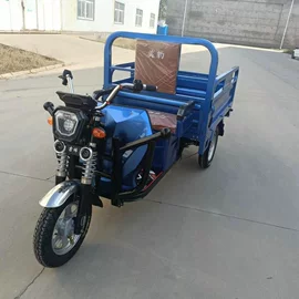 电动三轮车;其他电动车;三轮车