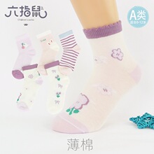 六指鼠儿童袜子批发25春秋款精梳棉中大童女童婴儿中筒 A类薄棉