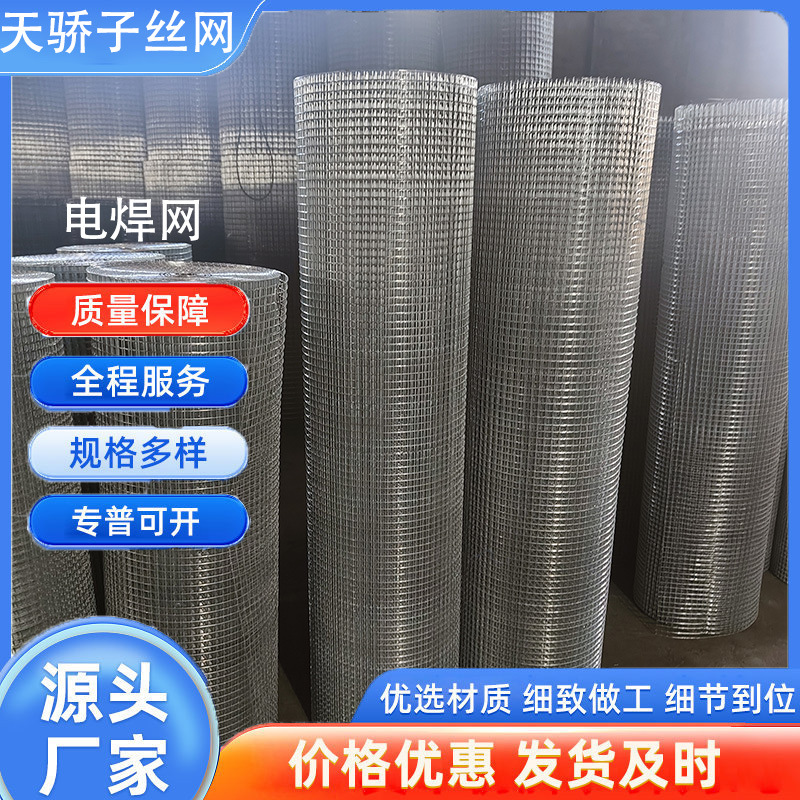 养殖热镀锌电焊网防鼠防蛇防鸟网鸟笼网鼠笼网蛇笼网铁丝网