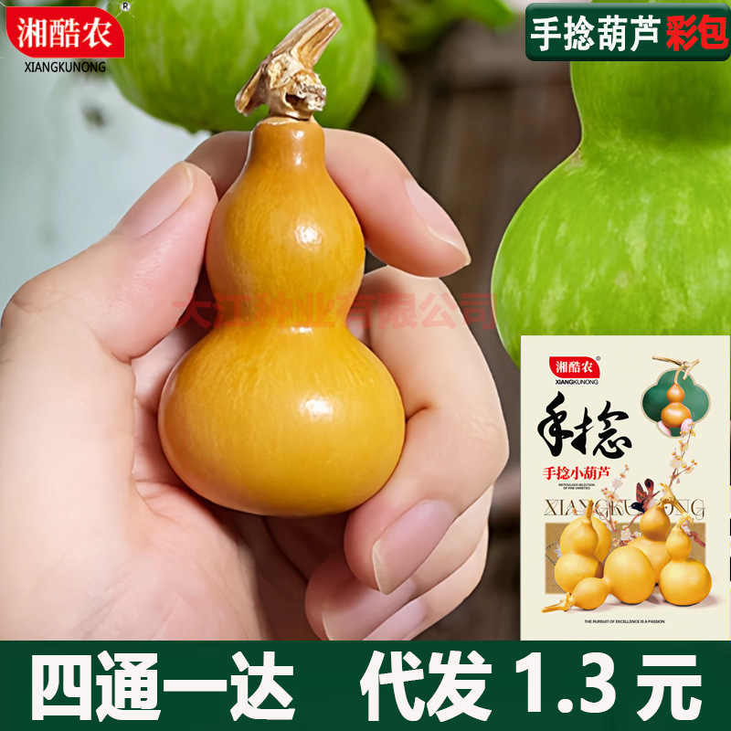 手捻小葫芦种子微型天然小葫芦籽特小美国铁包蔬菜种子种植