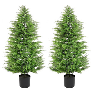 2025�羳�����ɘ��辰�����}�Q��ͥԺ�ݵػ��@�҃��}�Q�b��ɰؘ�