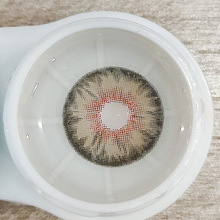 ������Ѫ��ͫ�����l���p�Ќ����ռ{���[�����R���N��ͫ�ռ{