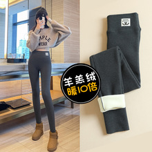 800克羊羔绒打底裤女冬季加绒加厚外穿大码高腰保暖长裤特厚棉裤