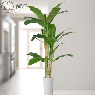 ߷ŽGֲԔ[~㽶辰@쾰b˽٘