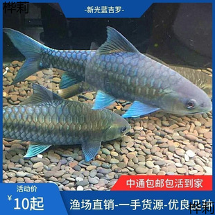 �¹ⴽ�{���_�~�絭ˮ�~�^�p�~�����~����ԭ���_�~�Lˮ�~Ⱥ�B���~