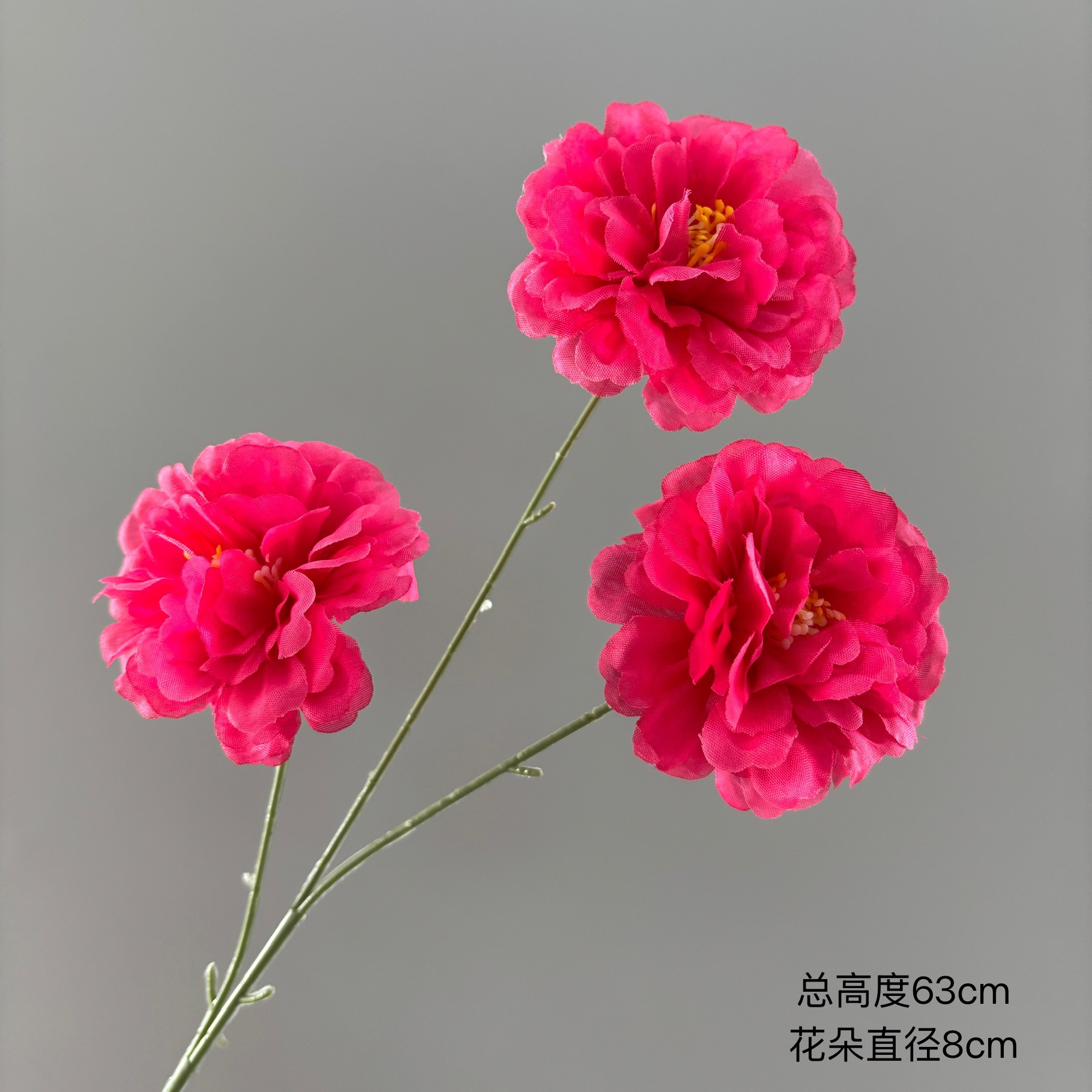 히비스커스 꽃 3개